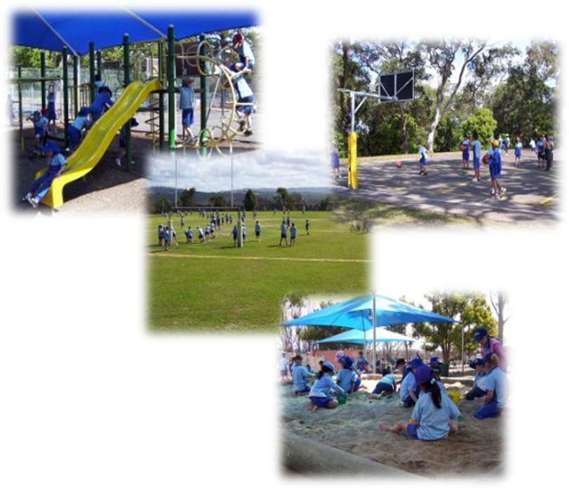 Collage of outdoor school facilities